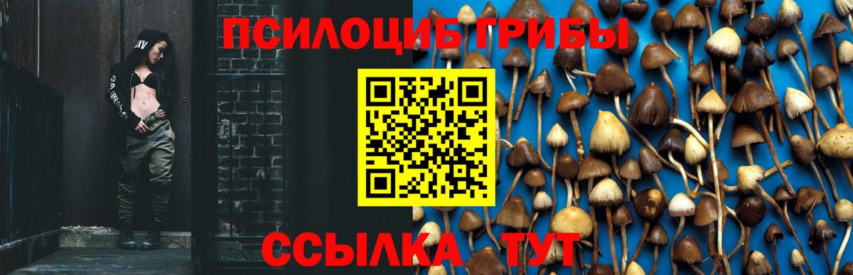 Псилоцибиновые грибы MAGIC MUSHROOMS  Вход с VPN  Лобня 